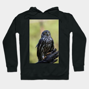 Owl Eyes Hoodie